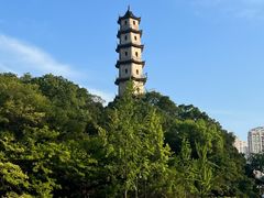 -江心屿景区