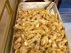 椒盐皮皮虾-生蚝园