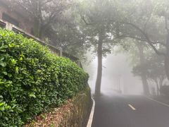 -莫干山风景区
