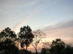 -武汉紫薇都市田园