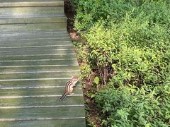 -长春市南湖公园