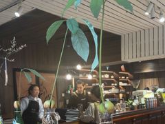 -沏点Trattoria意大利餐厅(新街口店)