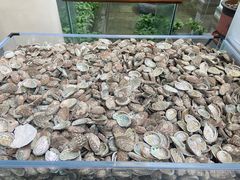 -旺顺阁鱼头泡饼(小红门店)