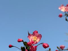 -天鹅湖体育公园