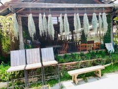 -Ohkajhu Organic Farm Sansai