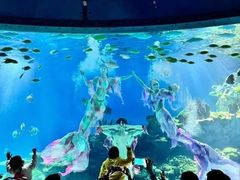 -海合安武汉极地海洋公园