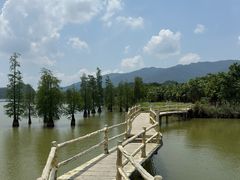 -星湖旅游景区七星岩
