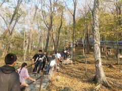 -帽儿山风景区