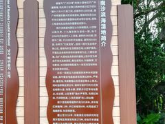 -大湾区中央湿地公园