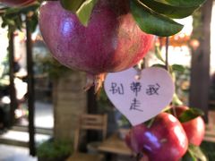 -四喜小胖·北京涮肉(五道营店)