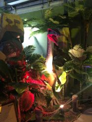 -恐龙探索乐园(磁器口店)