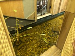 -邈墨茶馆(凤起路店)