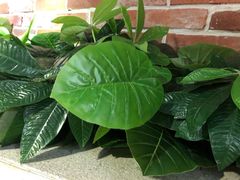 -樊城区沛公餐饮店(挑食拉美步行街店)