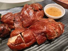 -芙蓉凰花园酒楼