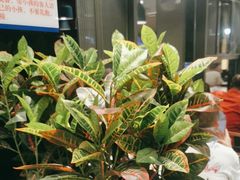 -勇利赵家烤肉坊(含光路店)