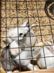 -酷嗒动物文化乐园(cutezoo西溪乐天城店)