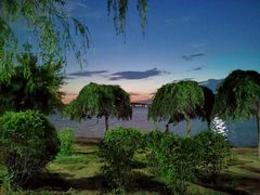 -丁香湖公园