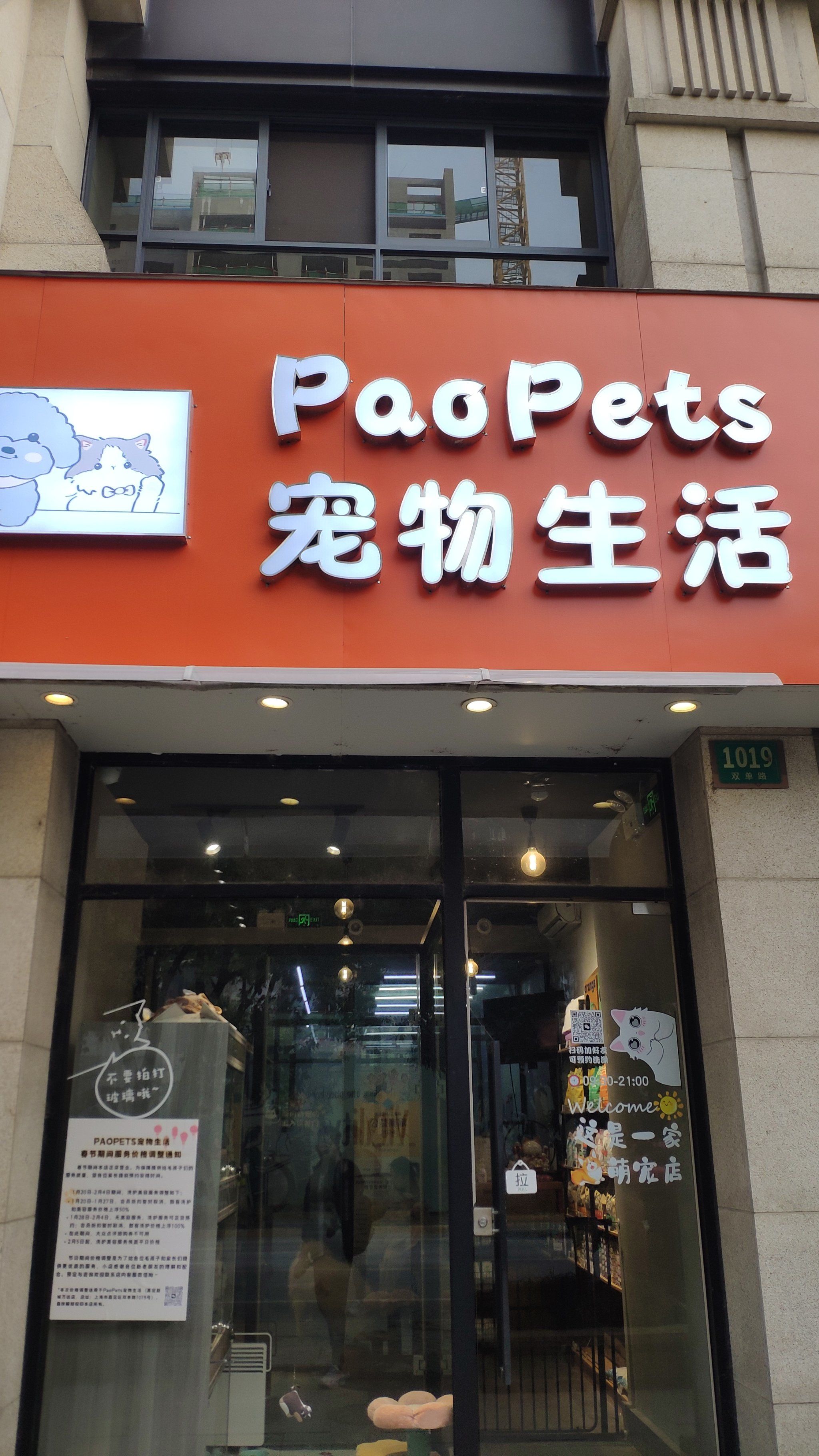 宠物可爱挑战入口网站_可爱宠物犬