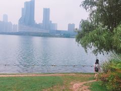 -天鹅湖体育公园