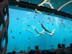 -瑞德姆美人鱼海底演艺主题餐厅(亚龙湾店)