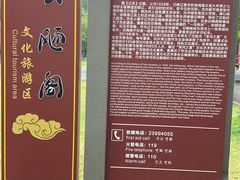 -长白岛森林公园