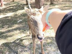 -秦皇岛野生动物园