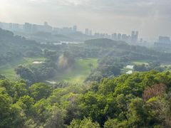 -光明农场大观园
