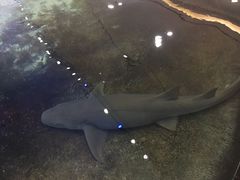 -鸿通城购物中心