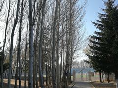 -吉林大学(前卫南区)