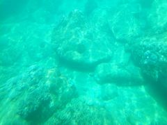 -亚龙湾海底世界