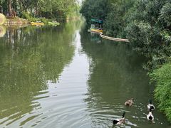 -洛阳市隋唐城遗址植物园