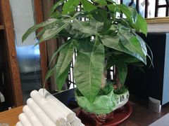 -莱蔻·圣灸堂·推拿艾灸(天山店)