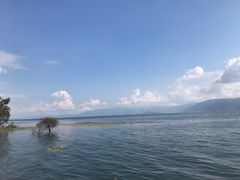 -大理洱海
