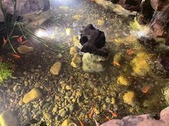 -古韵轩·江浙融合菜(梁溪店)