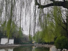 -团结湖公园