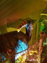 -恐龙探索乐园(磁器口店)