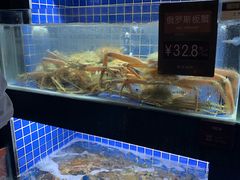 水产区-徐记海鲜(汉城湖|太奥店)