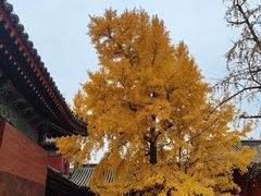 -承恩寺