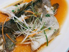 -新虹楼饭庄(崇明陈家镇店)