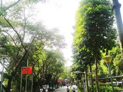 -红花湖景区