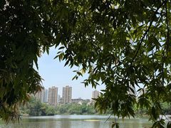 -重庆彩云湖湿地公园