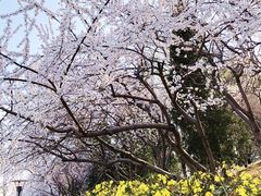 -玲珑塔公园