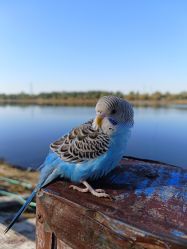 -Oasis Beauty水磨坊科技美肤中心