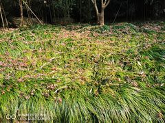 -黄公望隐居地