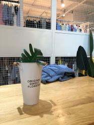 -愿望树儿童摄影(699文创店)