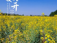 -汉长安城未央宫国家考古遗址公园