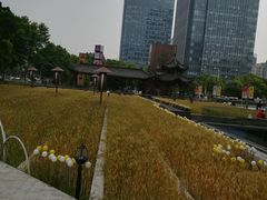 -证大喜玛拉雅中心