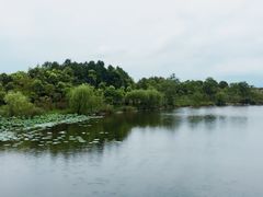 -上海怡沁园度假酒店