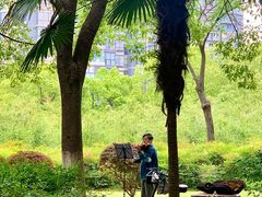 -汉口江滩-江滩观星台