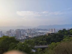 -金鸡山公园